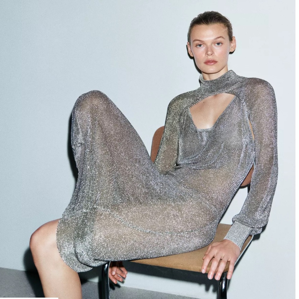 ZARA METALLIC THREAD MESH DRESS LIMITED EDITION - Picture 3 of 12